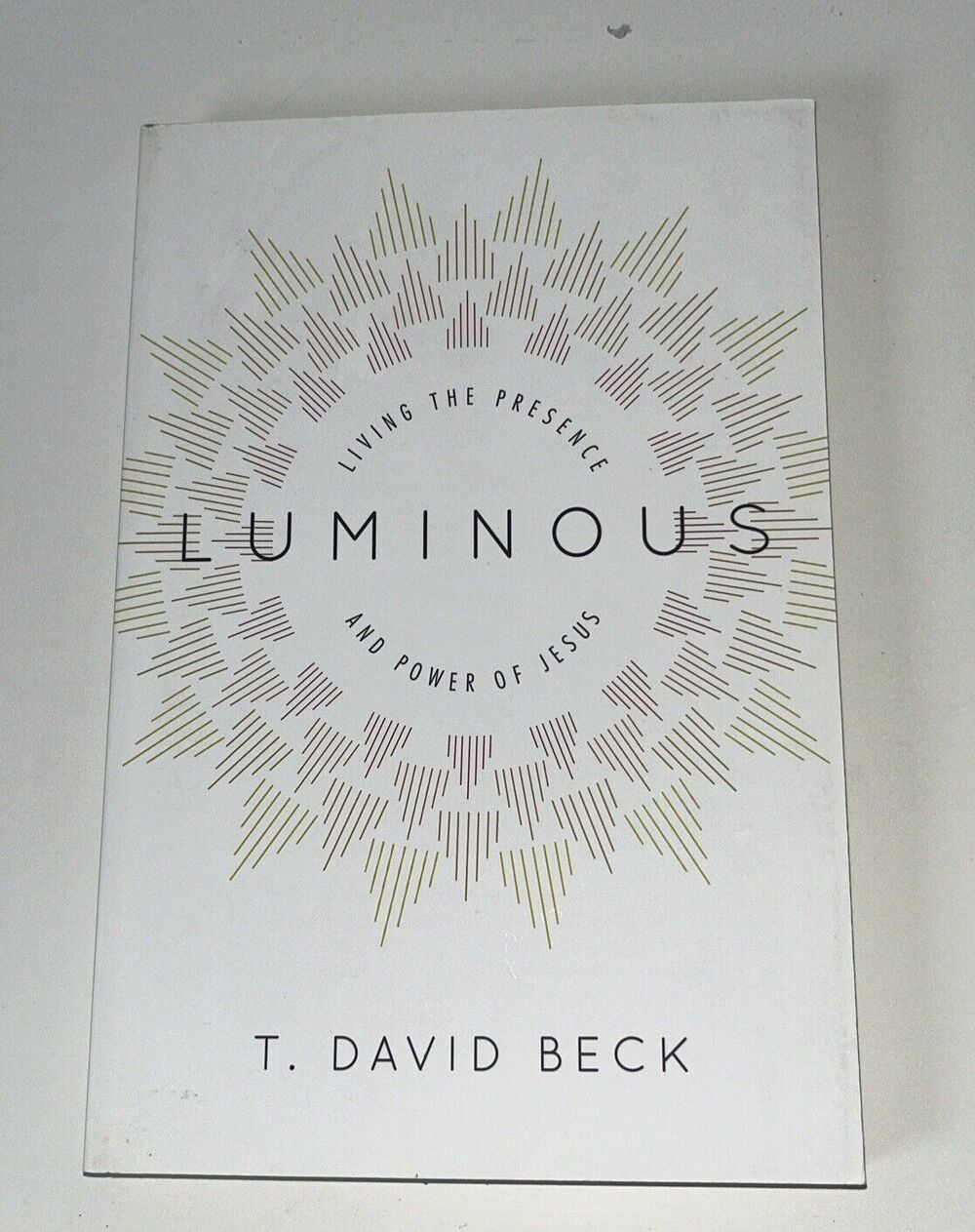 Luminous : Living the Presence and Power of Jesus by T. David Beck (2013, Trade